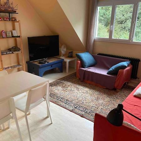 Appartement Spacieux 2 Chambres Κεμπέρ Εξωτερικό φωτογραφία
