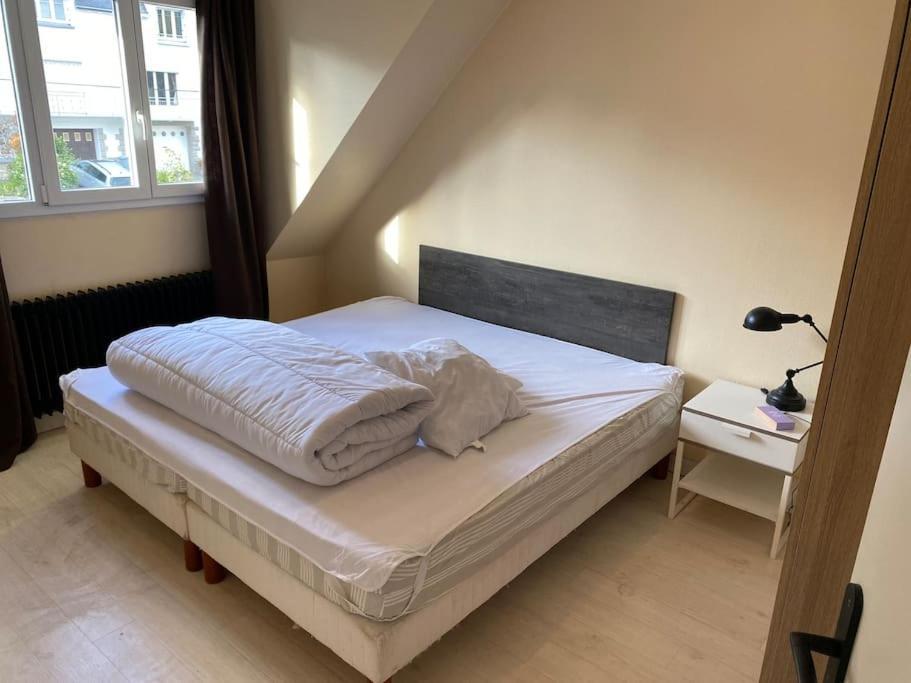 Appartement Spacieux 2 Chambres Κεμπέρ Εξωτερικό φωτογραφία